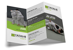 Tatami Fitness Martial Arts Brochure